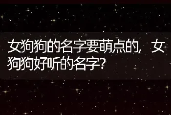 女狗狗的名字要萌点的