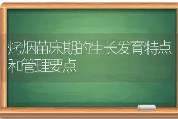 烤烟苗床期的生长发育特点和管理要点