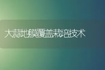 大蒜地膜覆盖栽培技术