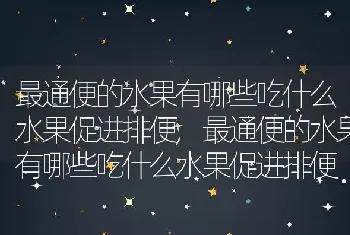 最通便的水果有哪些吃什么水果促进排便