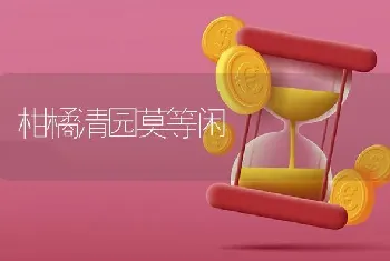 柑橘清园莫等闲