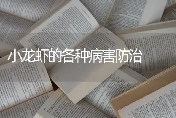 小龙虾的各种病害防治