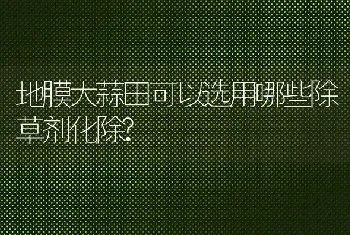 地膜大蒜田可以选用哪些除草剂化除?