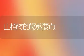 山楂树的修剪要点