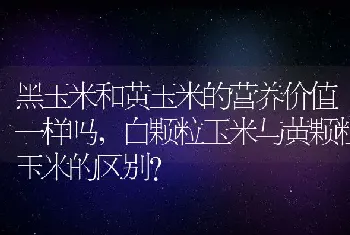 真菌感染怎么治疗