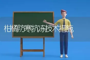 柑橘防寒抗冻技术措施