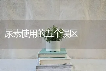 尿素使用的五个误区