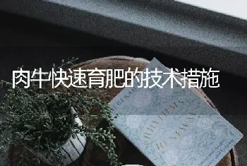 肉牛快速育肥的技术措施