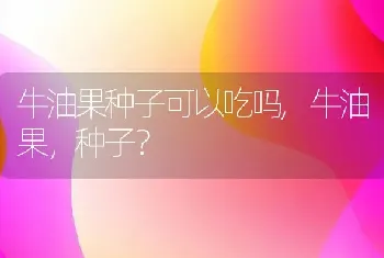 牛油果种子可以吃吗