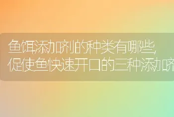 鱼饵添加剂的种类有哪些