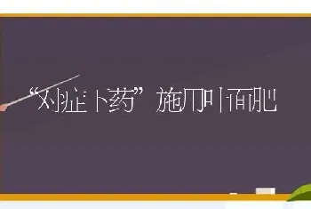 “对症下药”施用叶面肥