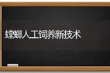 螳螂人工饲养新技术