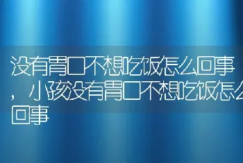 没有胃口不想吃饭怎么回事