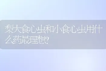 梨大食心虫和小食心虫用什么药最理想?