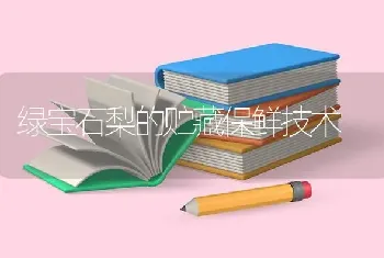 绿宝石梨的贮藏保鲜技术