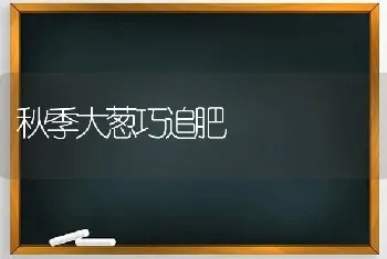 秋季大葱巧追肥