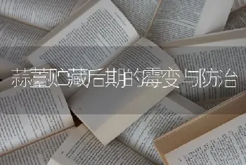 蒜薹贮藏后期的霉变与防治