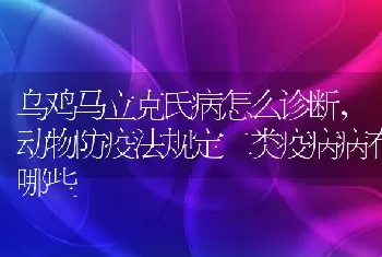 乌鸡马立克氏病怎么诊断