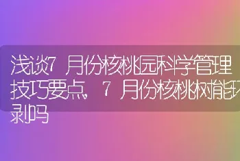 浅谈7月份核桃园科学管理技巧要点