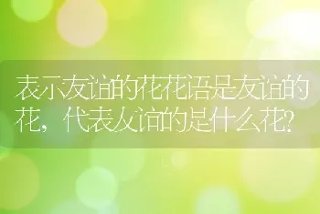 表示友谊的花花语是友谊的花