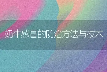 奶牛感冒的防治方法与技术