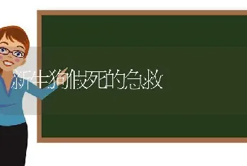 新生狗假死的急救