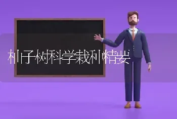 柚子树科学栽种精要