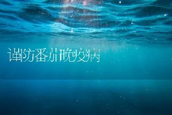 谨防番茄晚疫病