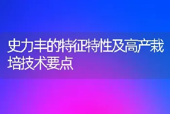 史力丰的特征特性及高产栽培技术要点