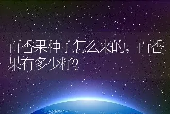 百香果种子怎么来的