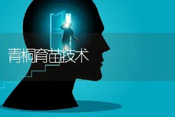 青桐育苗技术