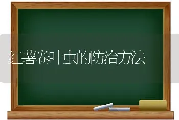 红薯卷叶虫的防治方法