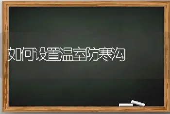 如何设置温室防寒沟