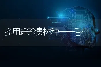 多用途珍贵树种——香榧