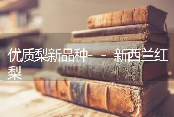 优质梨新品种--新西兰红梨