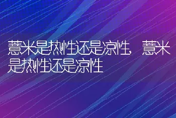 薏米是热性还是凉性