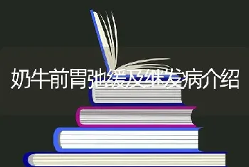 茶叶可以治疗牛病