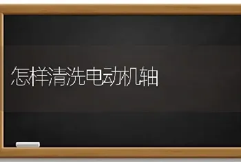 怎样清洗电动机轴