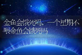 金鱼会饿死吗,一个星期不喂金鱼会饿死吗