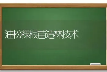 油松裸根苗造林技术