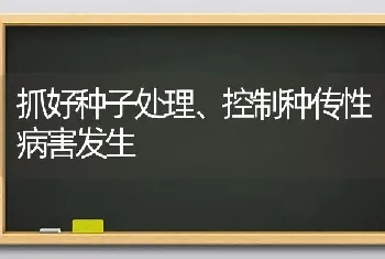 抓好种子处理、控制种传性病害发生