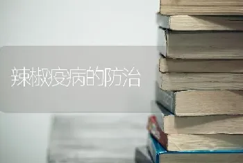 辣椒疫病的防治