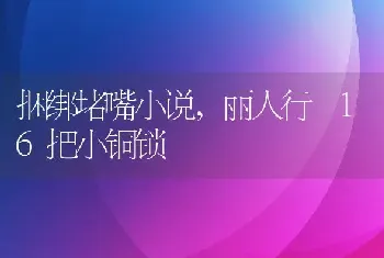 捆绑堵嘴小说,丽人行 16把小铜锁