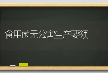 食用菌无公害生产要领