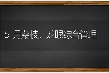 5月荔枝、龙眼综合管理