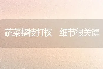 竹席的编织方法