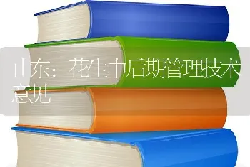 山东：花生中后期管理技术意见