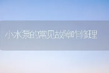 小水泵的常见故障咋修理