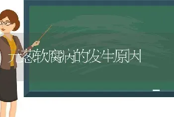 元葱软腐病的发生原因