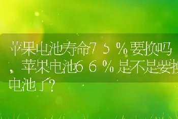 苹果电池寿命75%要换吗